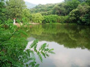 鲁山天气预报10天查询